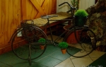 Galería