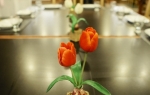 Galería